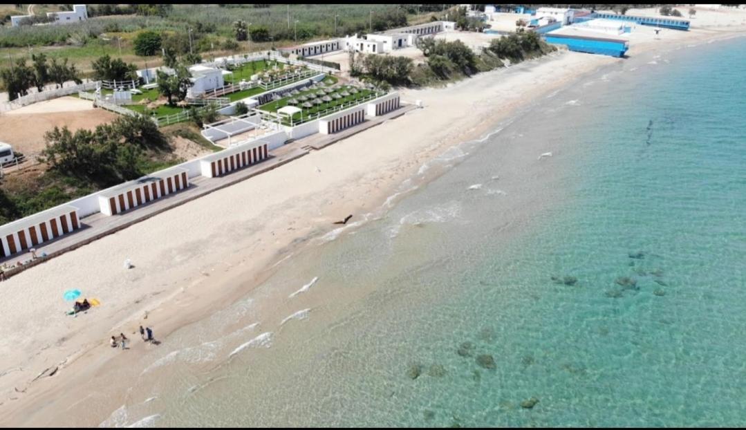 Musa Balbisiana Casa Olea Brindisi Exterior foto